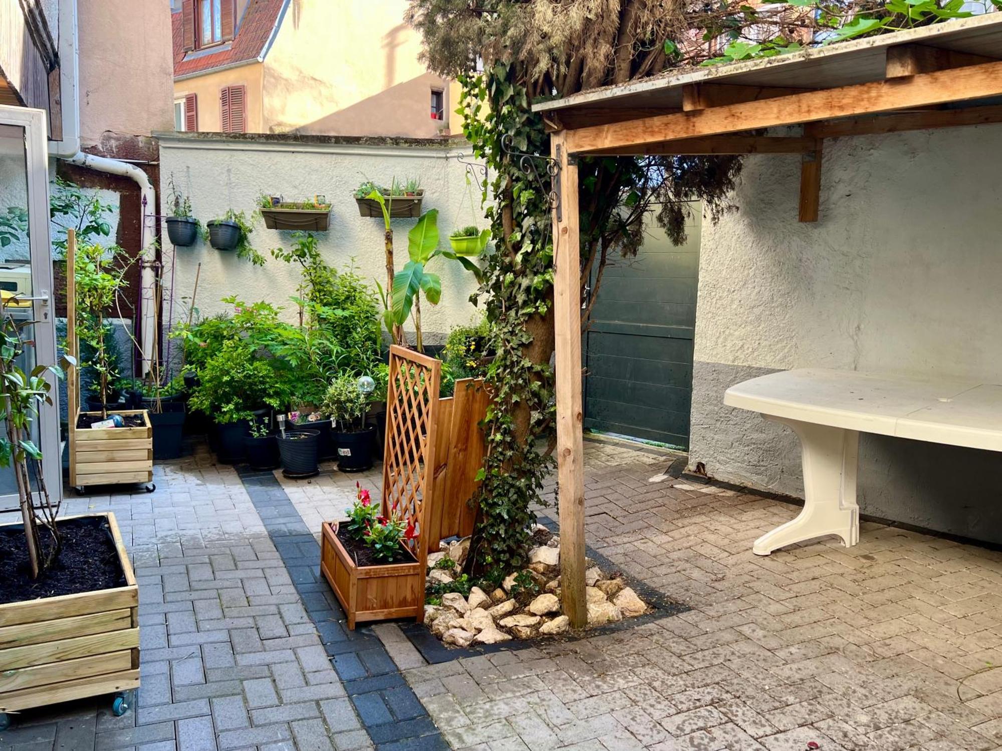 Gîte du Figuier 4 à 6 personnes Sélestat Centre-Alsace Esterno foto