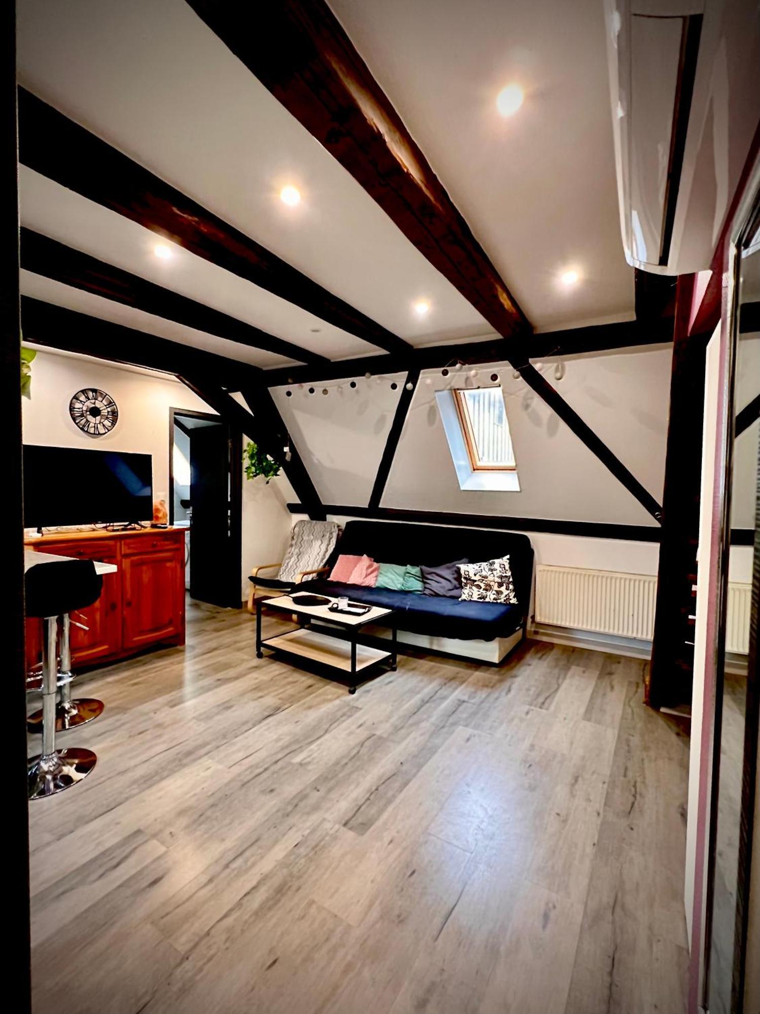 Gîte du Figuier 4 à 6 personnes Sélestat Centre-Alsace Esterno foto