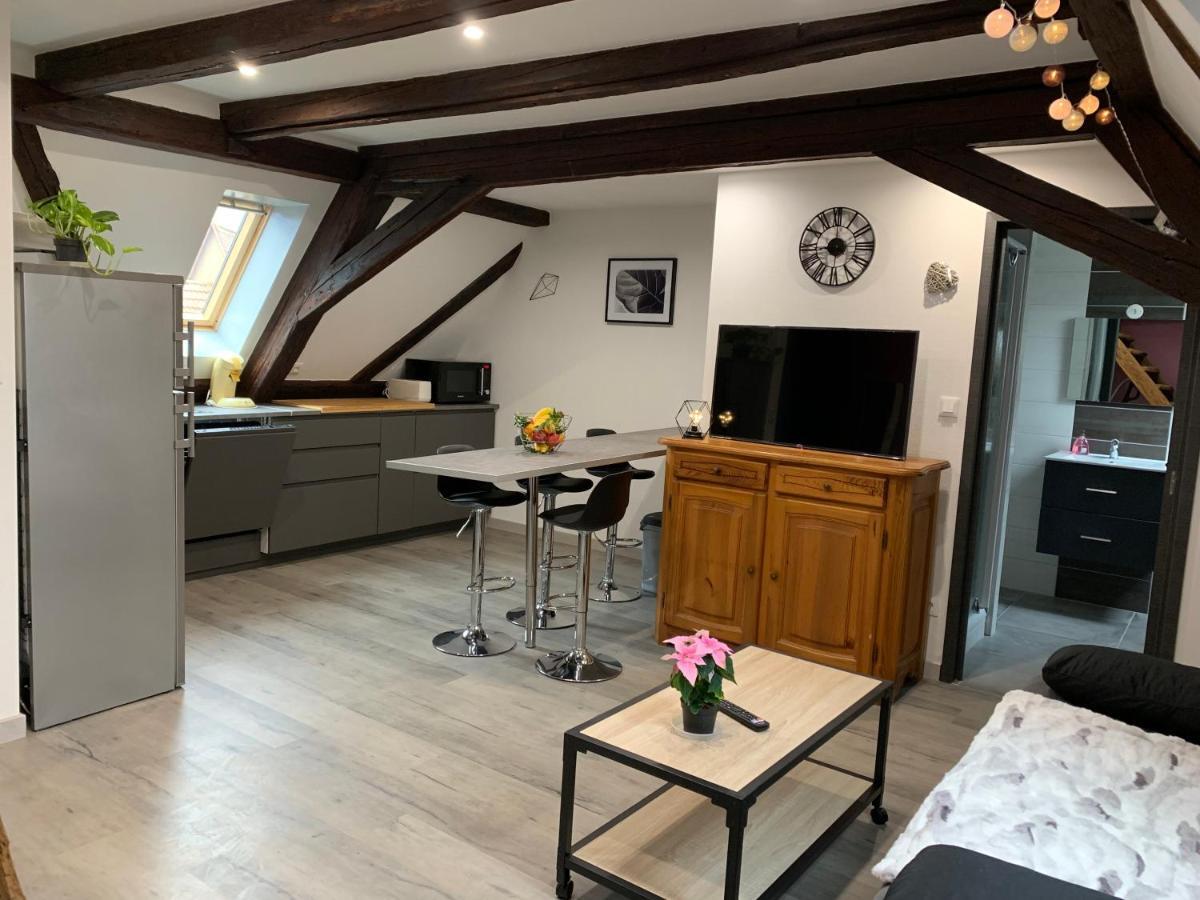 Gîte du Figuier 4 à 6 personnes Sélestat Centre-Alsace Esterno foto