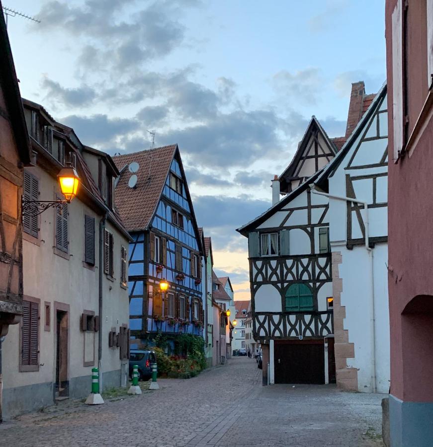 Gîte du Figuier 4 à 6 personnes Sélestat Centre-Alsace Esterno foto